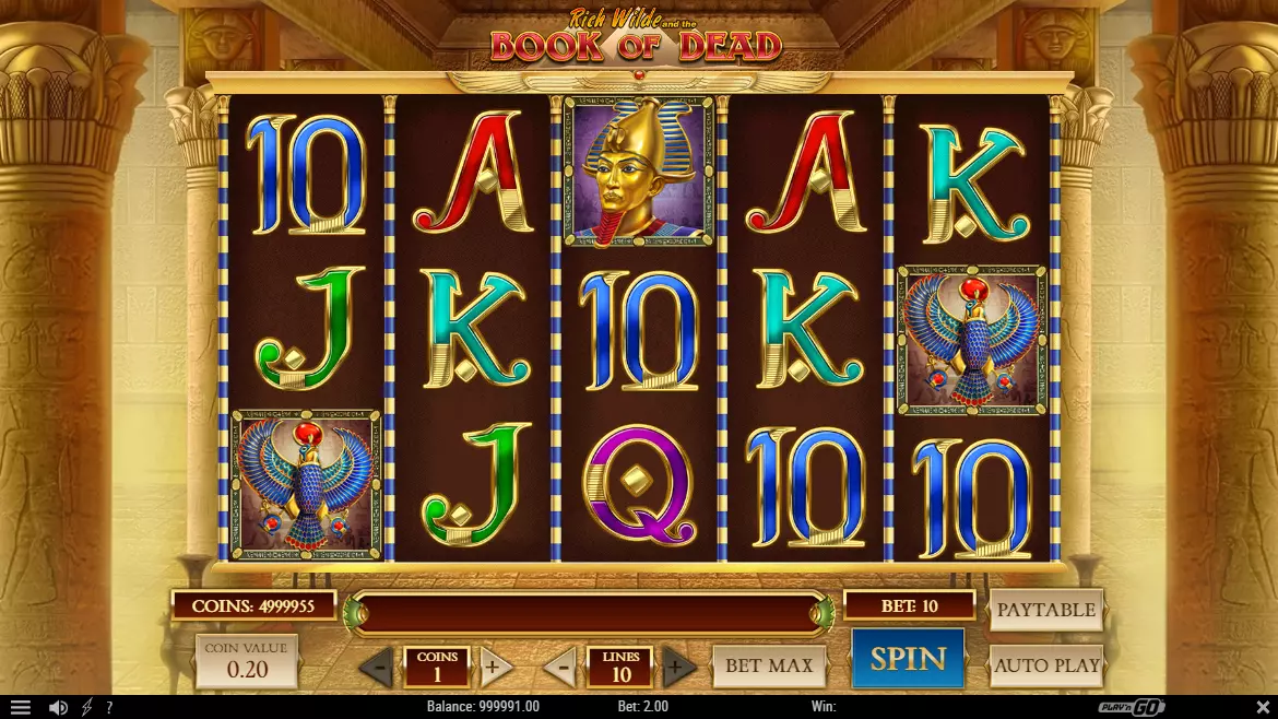 Book of Dead Slot