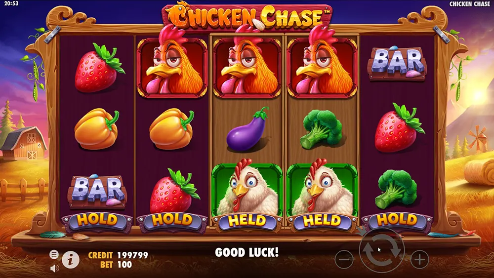 Chicken Chase