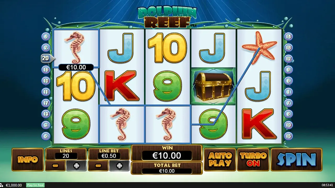 Dolphin Reef Win Dolphin Reef Win