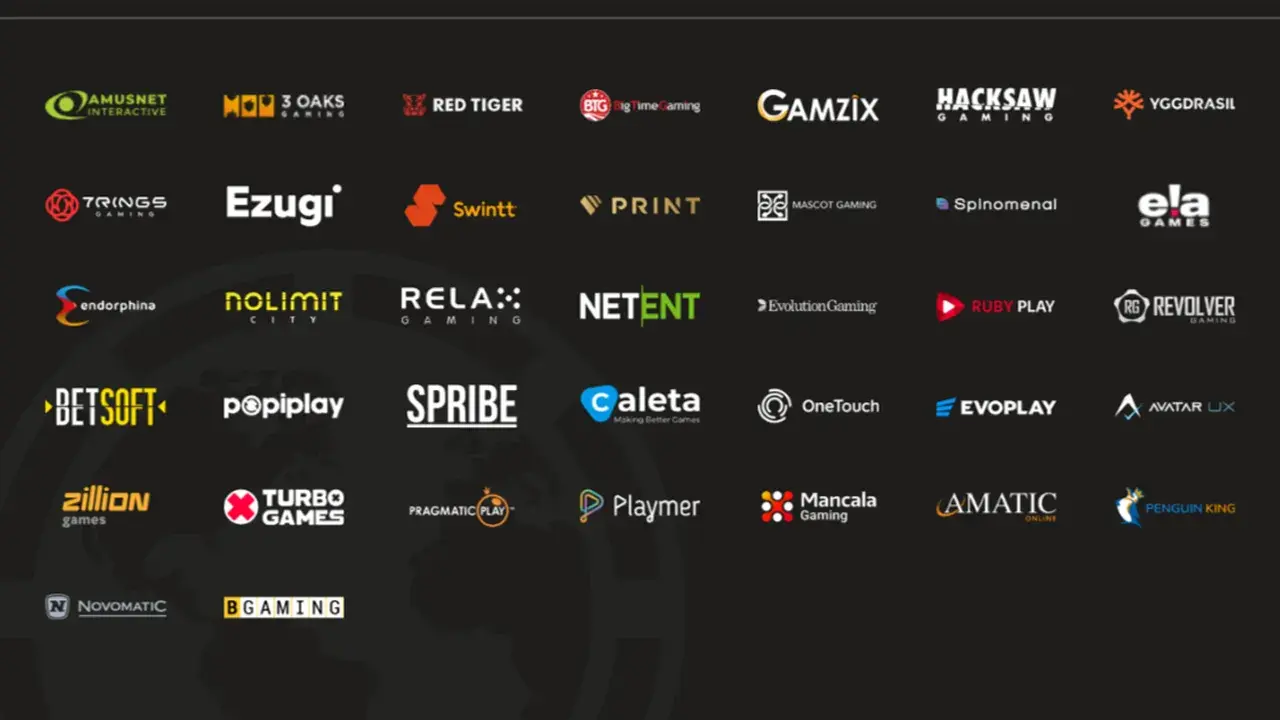 Winity Casino Providers